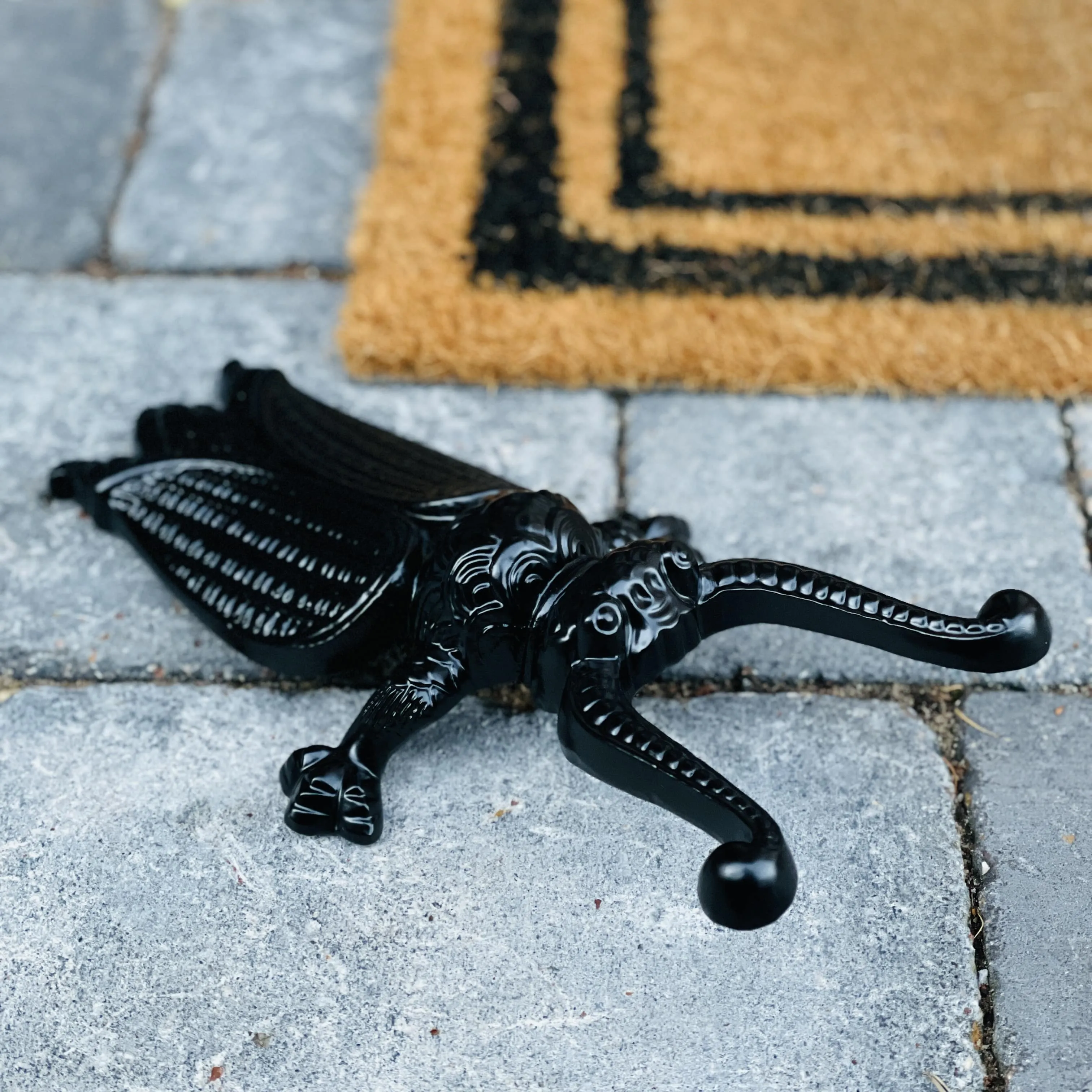 Cast Iron Beetle Boot Pull