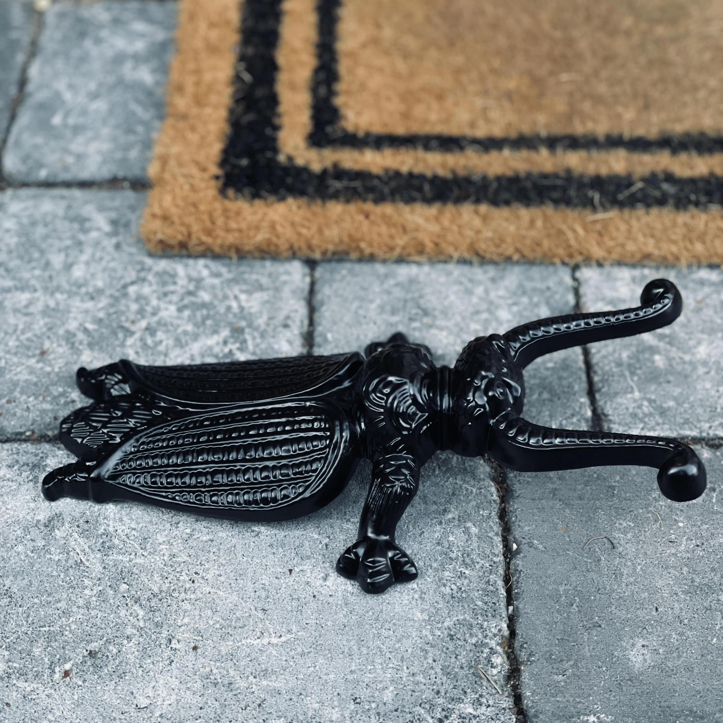 Cast Iron Beetle Boot Pull